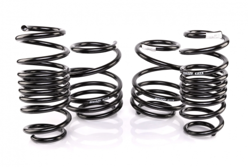 Swift Springs Sport Springs Spec-R (22+ Civic Si) | Axion Swift Springs Sport Springs Spec-R (22+ Civic Si) | Axion
