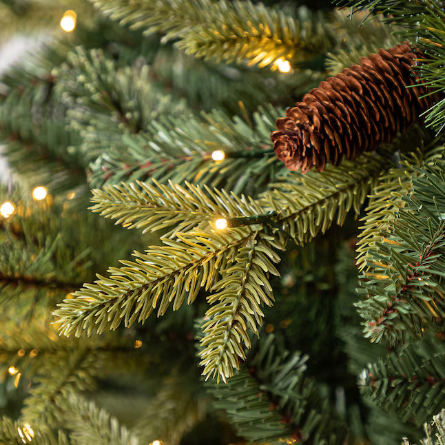 SEARCH FOR YOUR PARTS