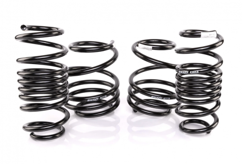 Swift Springs Spec-R Lowering Springs