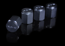 Rays Engineering Air Valve Cap Set-4