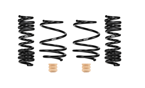 Eibach 20-24 BMW M3 Pro-Street Spring Kit