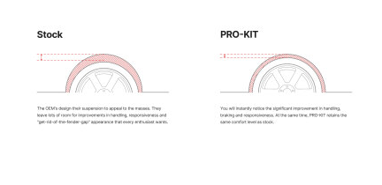 Eibach 20-24 BMW M3 Pro-Street Spring Kit