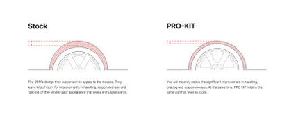 Eibach 20-24 BMW M3 Pro-Street Spring Kit