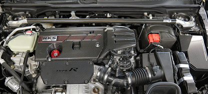 HKS DRY CARBON FUSE BOX COVER FL5