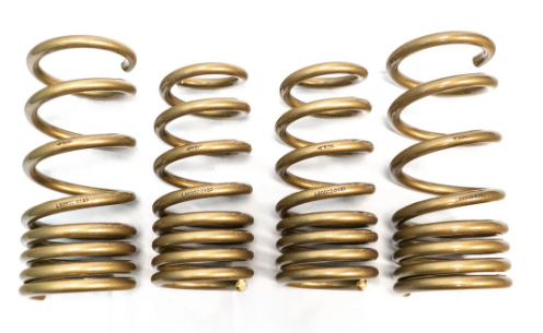ARK GT-S SPRINGS: NISSAN Z 23-26