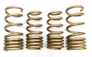 ARK GT-S SPRINGS: NISSAN Z 23-26-1