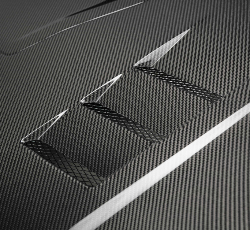 TS-Style Carbon Fiber hood for 2017-2021 Honda Civic Type R