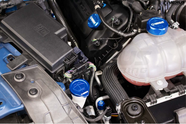 A/C Line Cap Kit - Ford R134A and R1234yf