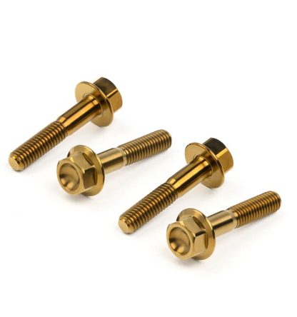 Titanium Mounting Hardware in Various Finishes for 1971-xxx Engine Covers