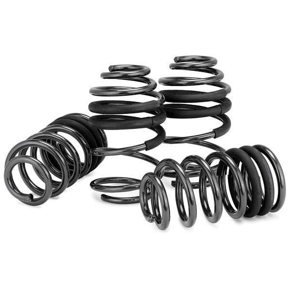 10th Gen Honda Accord Eibach Pro-Kit Performance Springs