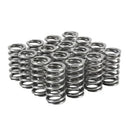 Skunk2  Pro XP Valve Spring Set K24z3 K24z7-1