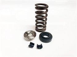 Ferrea Spring Kit for J Series Engines